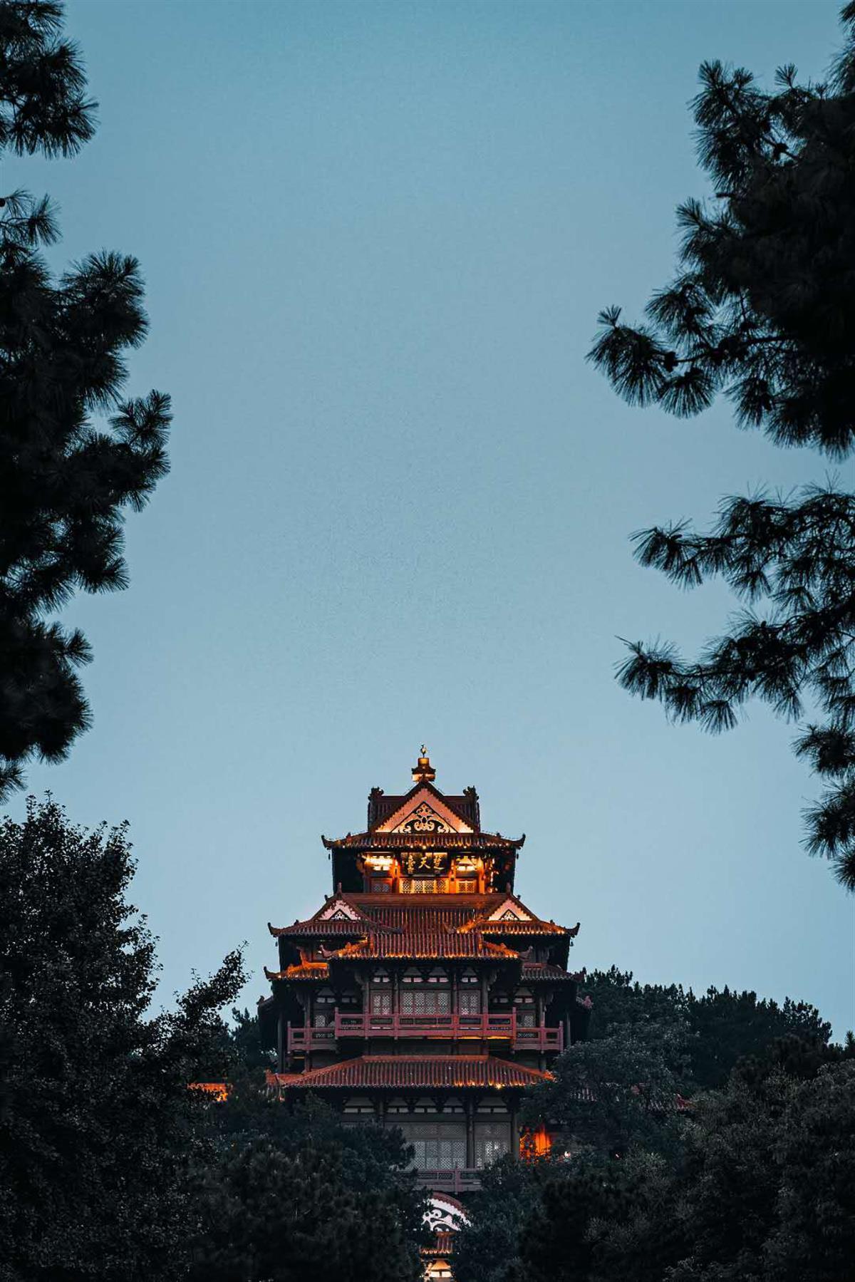 天天棋牌下载手机版下载